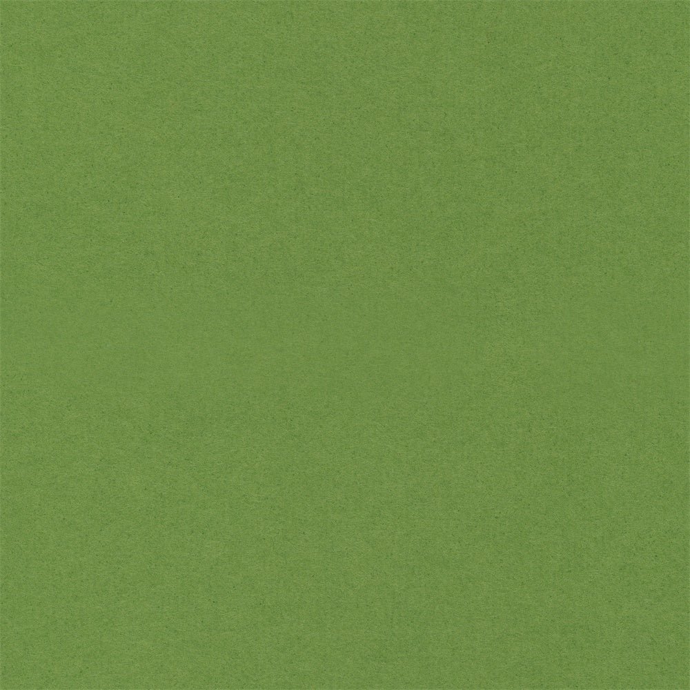 Graduation Portrait Backdrop Pure Green Glatter Hintergrund GQ4-178