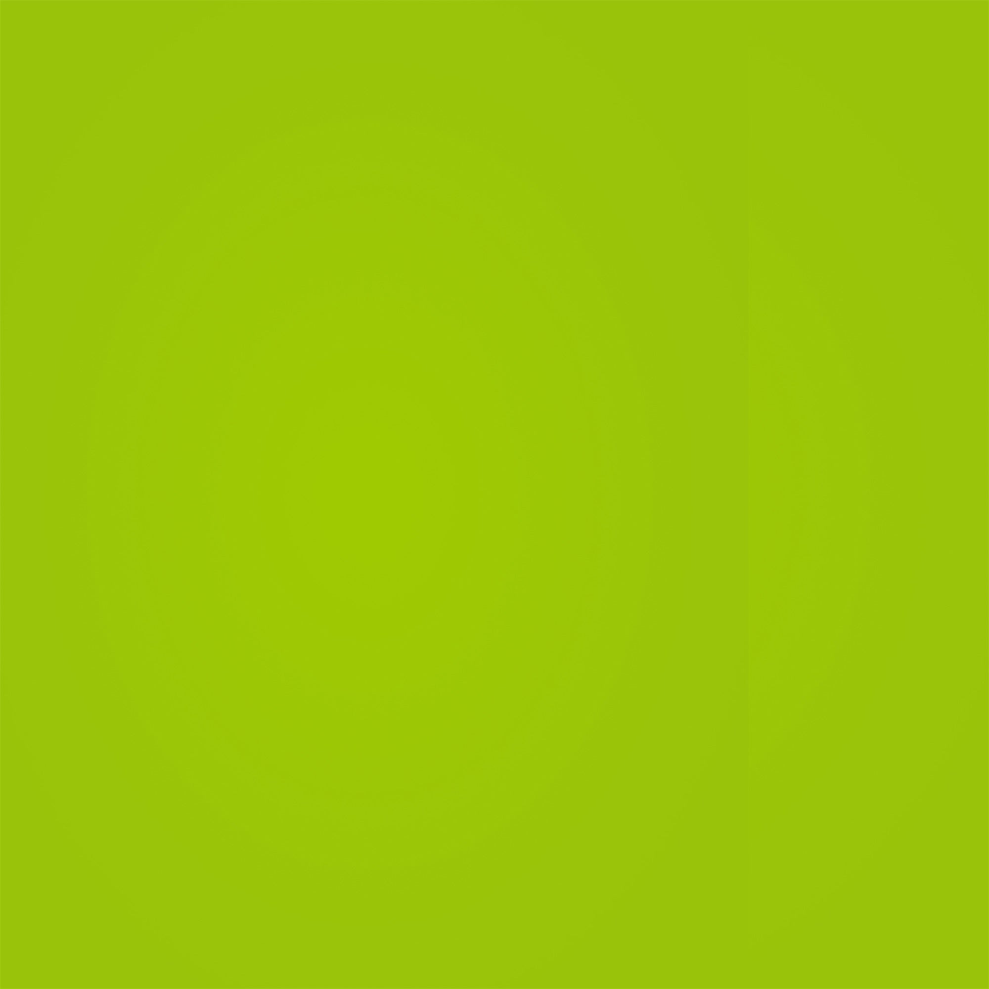 Schulfotokulisse Zesty Green Glatte Kulisse GQ4-191