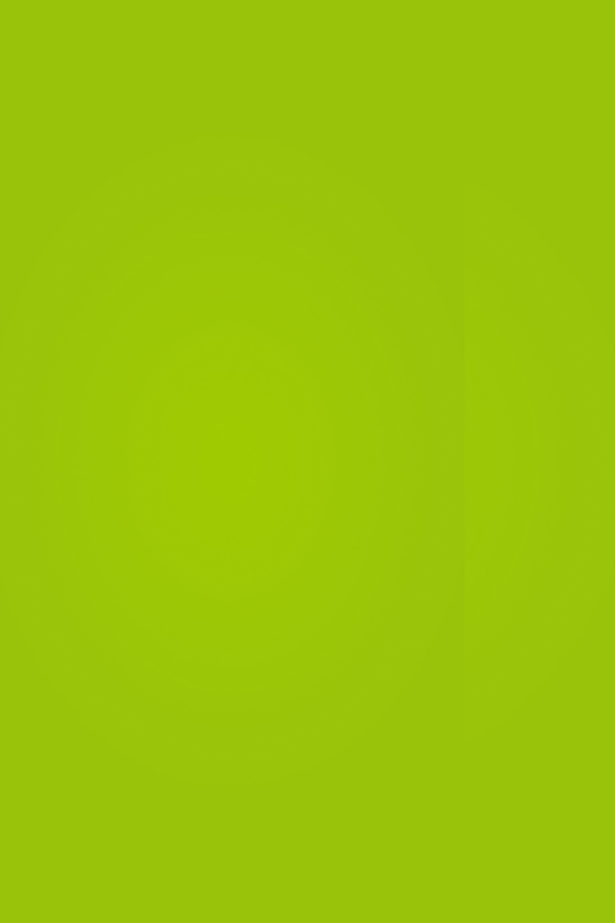 Schulfotokulisse Zesty Green Glatte Kulisse GQ4-191
