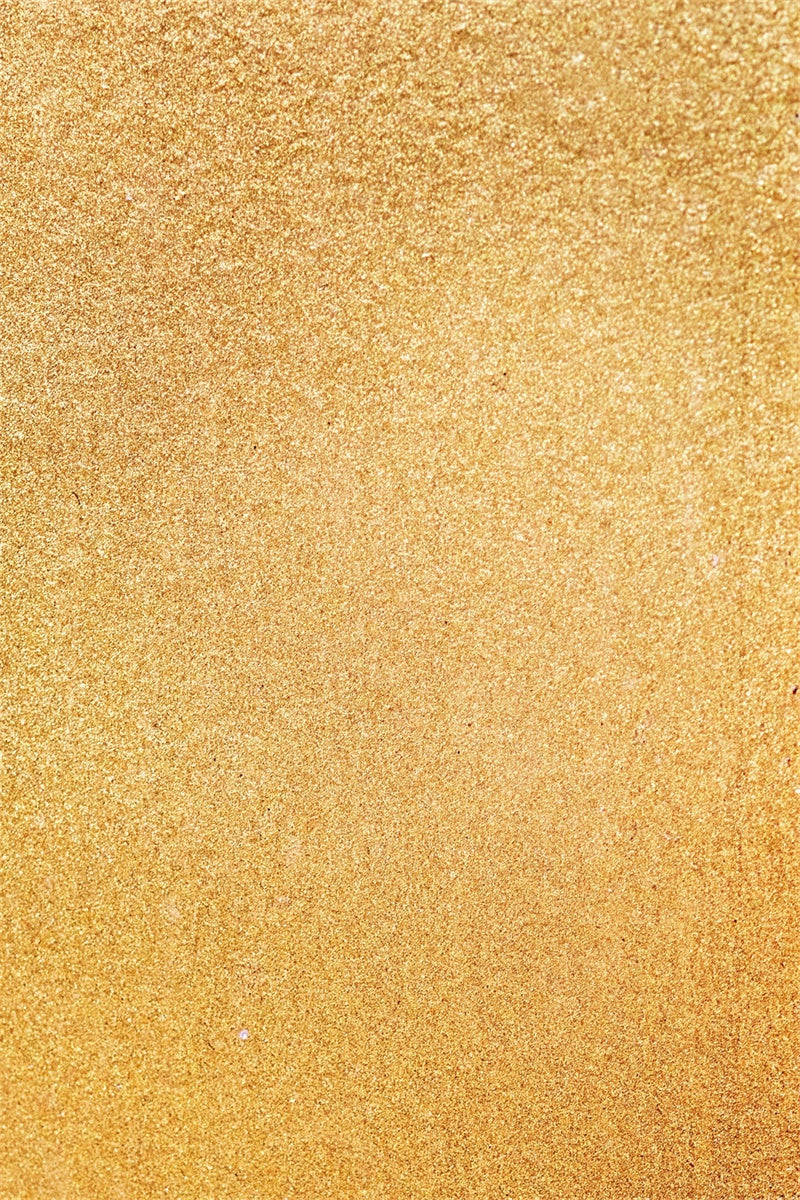 Professioneller Headshot-Hintergrund Luxe Golden Glitter Backdrop GQ4-192