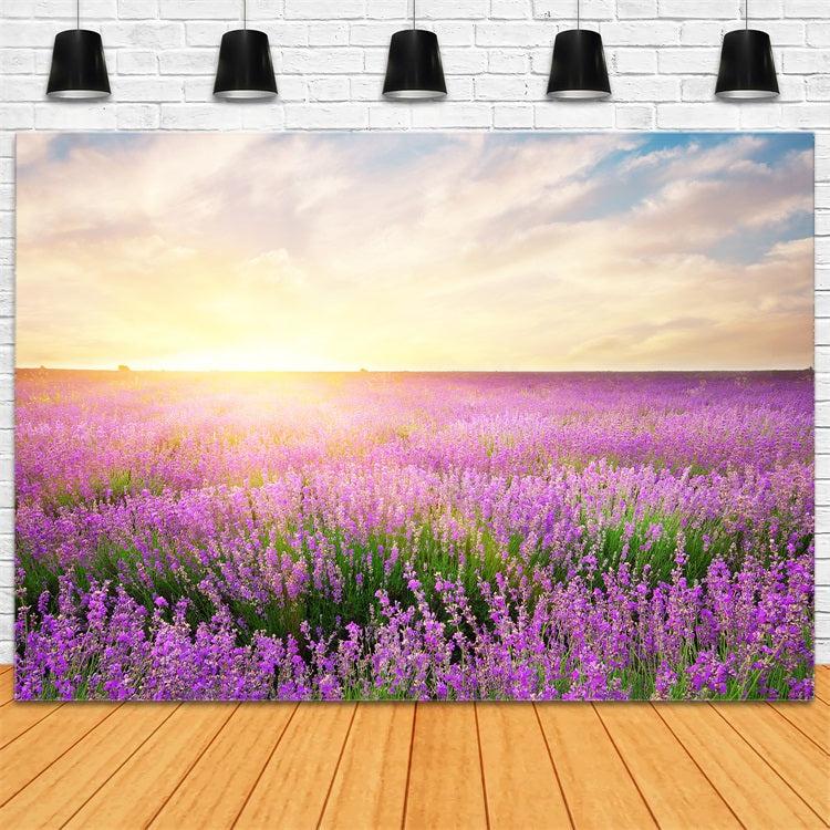 Lavendel Hintergrund Morgenblüte Floral Fotografie Hintergrund GQ4-21