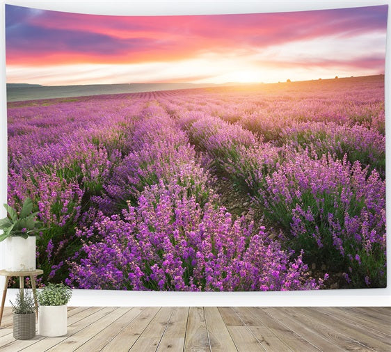 Lila Hintergrund für Fotografie Sonnenuntergang Lavendel Reihen Hintergrund GQ4-22