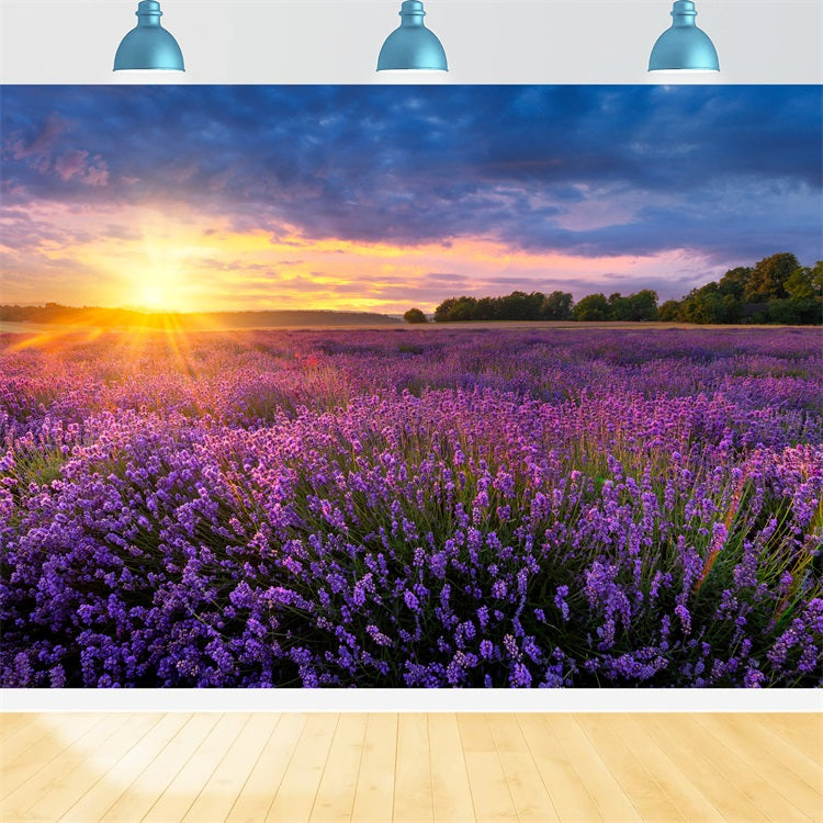 Lavendel Fotokulisse Dämmerung Lila Wiese Hintergrund GQ4-24