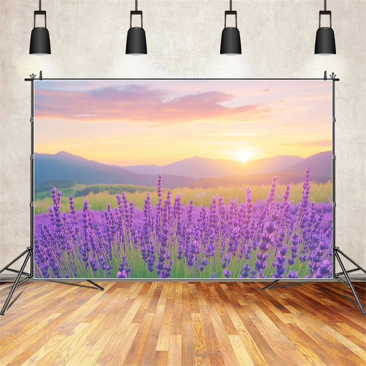 Lila Blumen Hintergrund Lavendel Sonnenuntergang Feld Fotografie Hintergrund GQ4-27