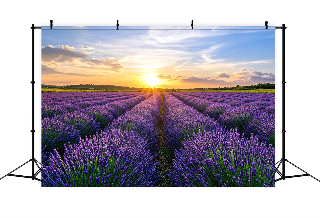 Lila Blumen Backdrop Blühender Lavendel Horizont Fotohintergrund GQ4-29