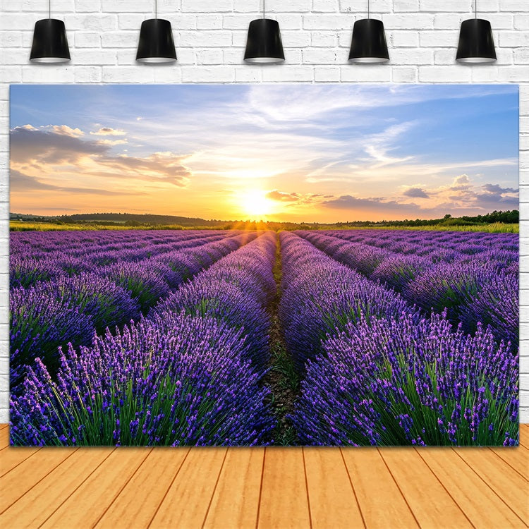 Lila Blumen Backdrop Blühender Lavendel Horizont Fotohintergrund GQ4-29