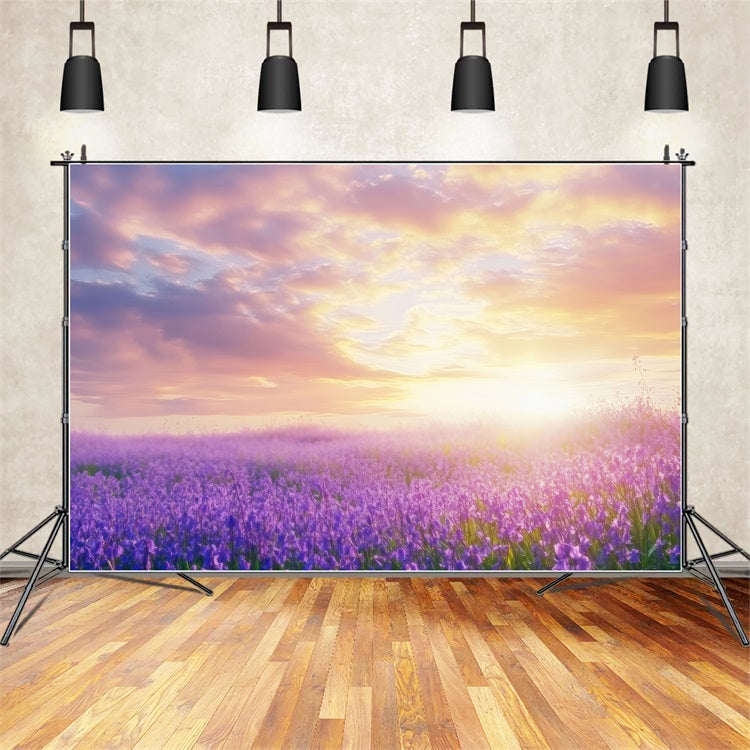 Lavendel Backdrops Traumlandschaft Sonnenaufgang Fotohintergrund GQ4-31
