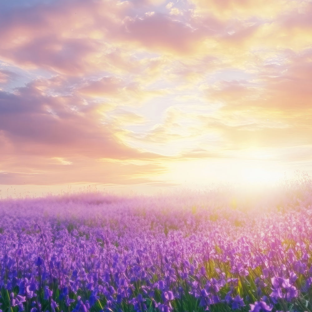 Lavendel Backdrops Traumlandschaft Sonnenaufgang Fotohintergrund GQ4-31