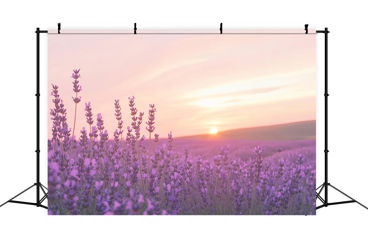 Lavendel Fotokulisse Sonnenuntergang Blumenfeld Kulisse GQ4-32