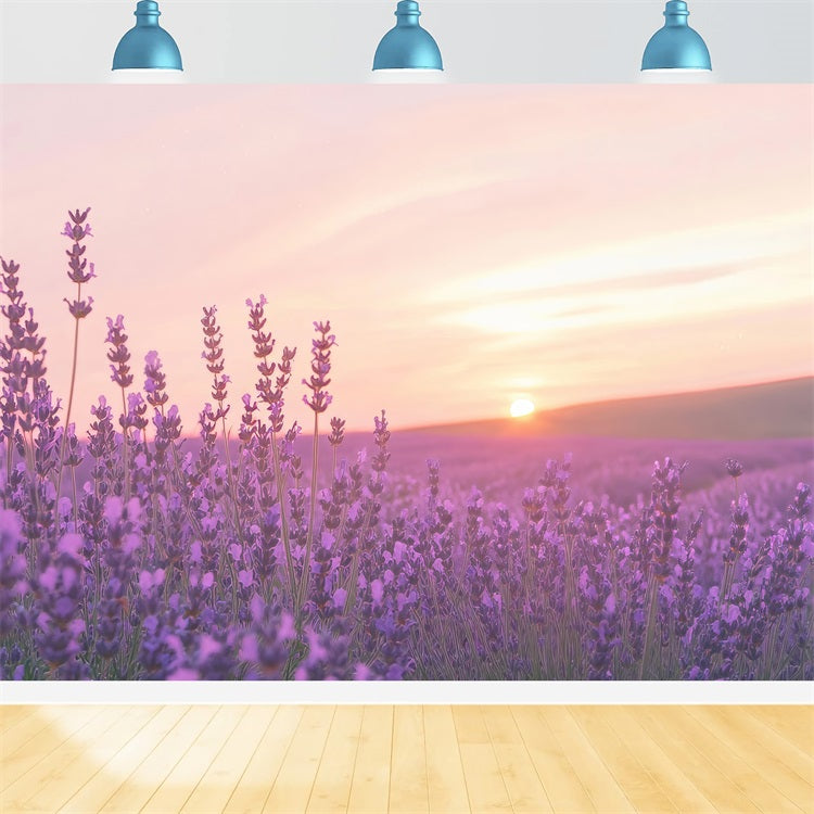Lavendel Fotokulisse Sonnenuntergang Blumenfeld Kulisse GQ4-32