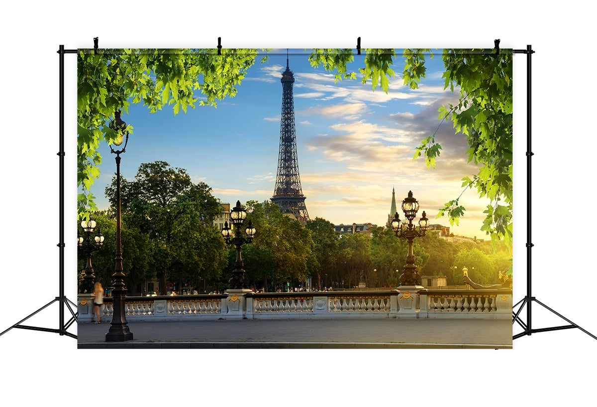 Eiffelturm Paris Backdrop Blauer Himmel Grünes Laub Backdrop GQ4-35