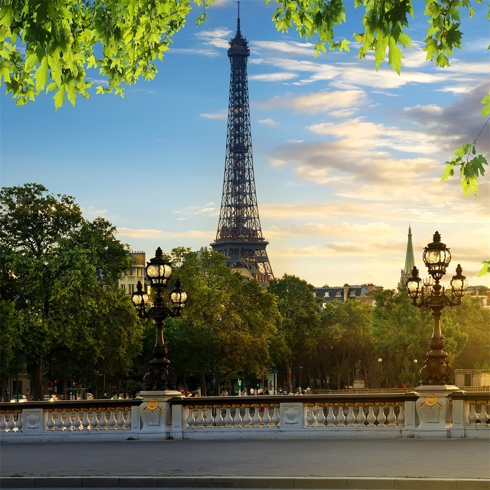 Eiffelturm Paris Backdrop Blauer Himmel Grünes Laub Backdrop GQ4-35