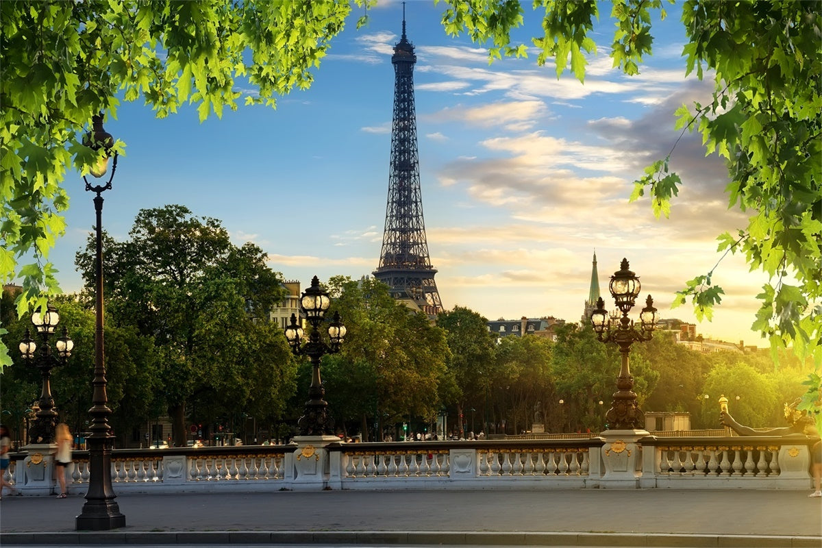 Eiffelturm Paris Backdrop Blauer Himmel Grünes Laub Backdrop GQ4-35