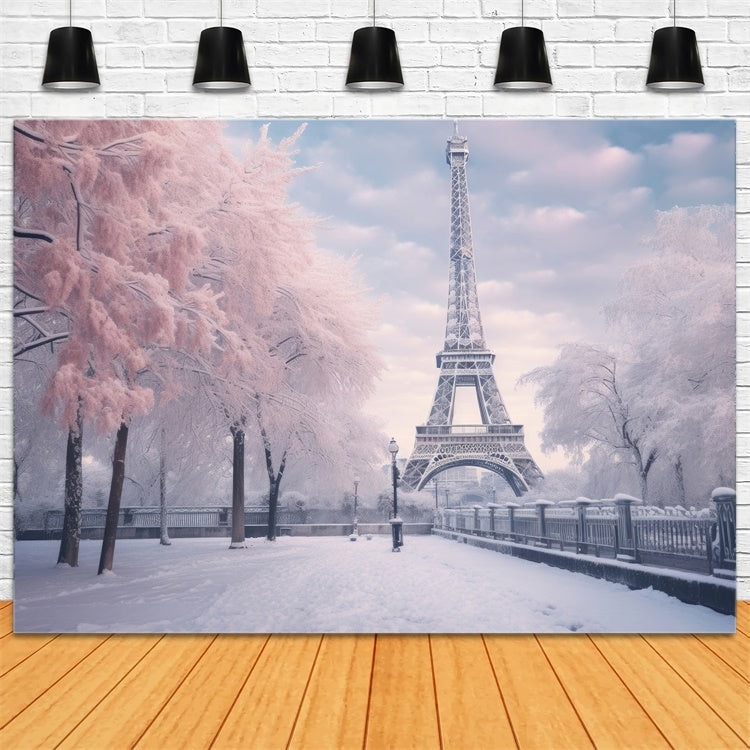 Paris Fotohintergrund Eiffelturm Winterlandschaft Hintergrund GQ4-53