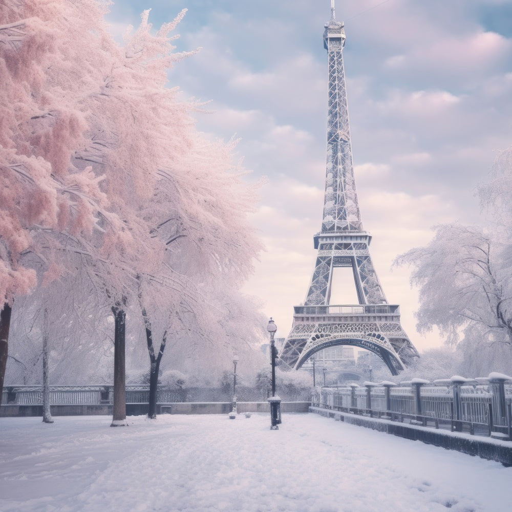Paris Fotohintergrund Eiffelturm Winterlandschaft Hintergrund GQ4-53