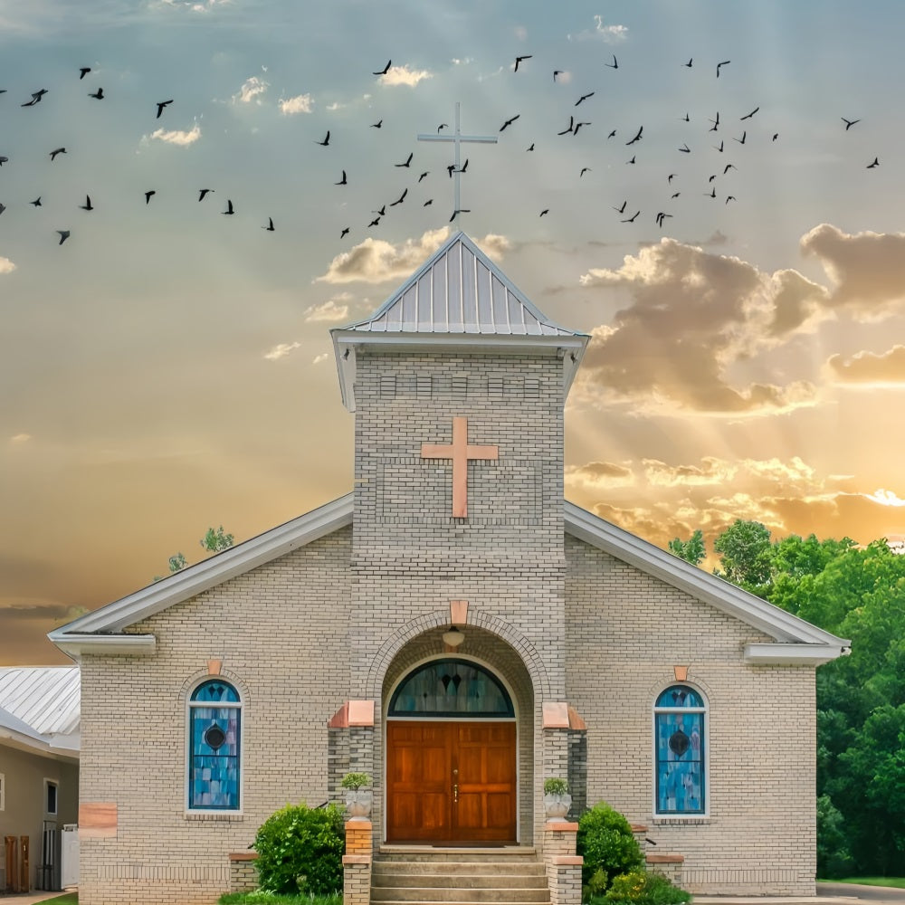 Kirche Backdrops Fliegende Vögel Himmel Architektur Backdrop GQ4-75
