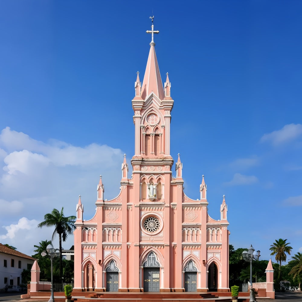 Kirche Bühne Backdrop Rosa Gotik Architektur Backdrop GQ4-76