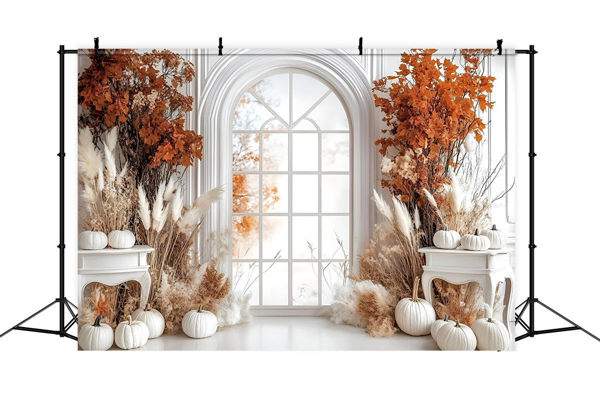 Herbst-Hintergrundkulisse Eleganter weißer Kürbis Fenster-Hintergrund GQ5-85