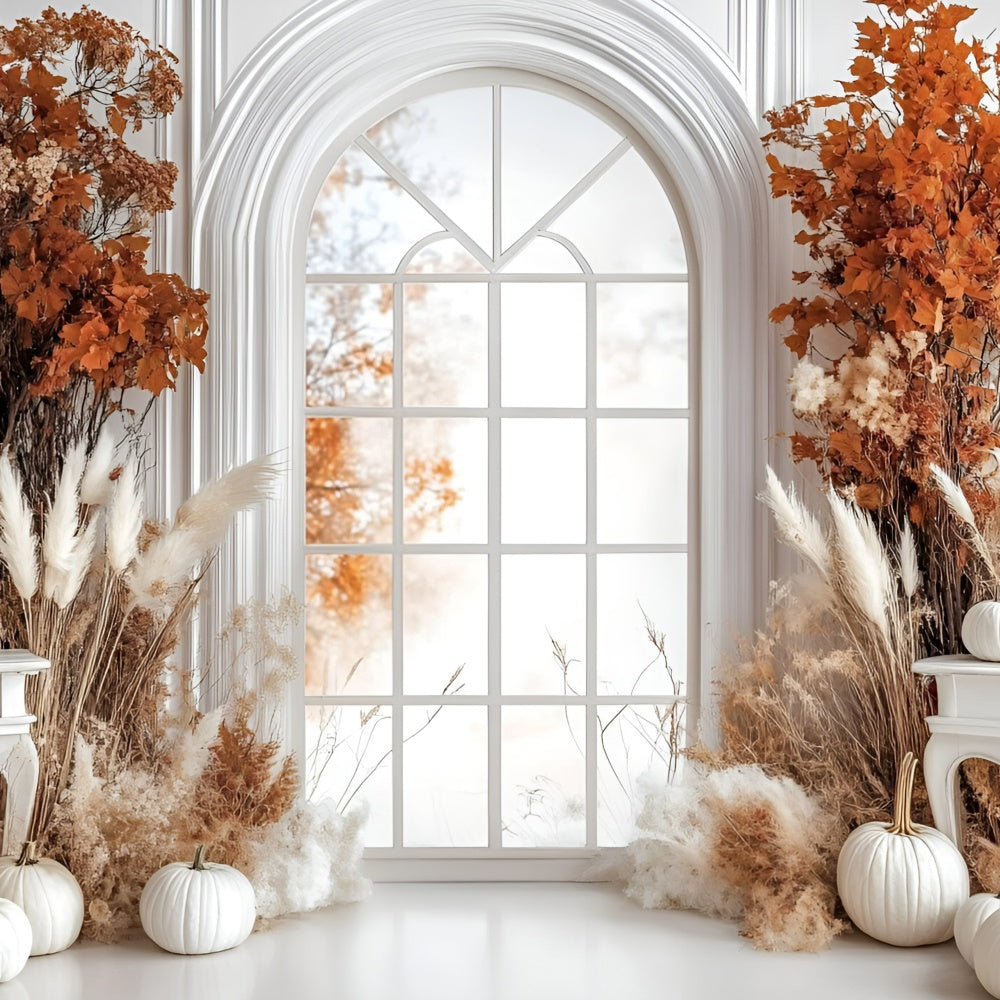 Herbst-Hintergrundkulisse Eleganter weißer Kürbis Fenster-Hintergrund GQ5-85