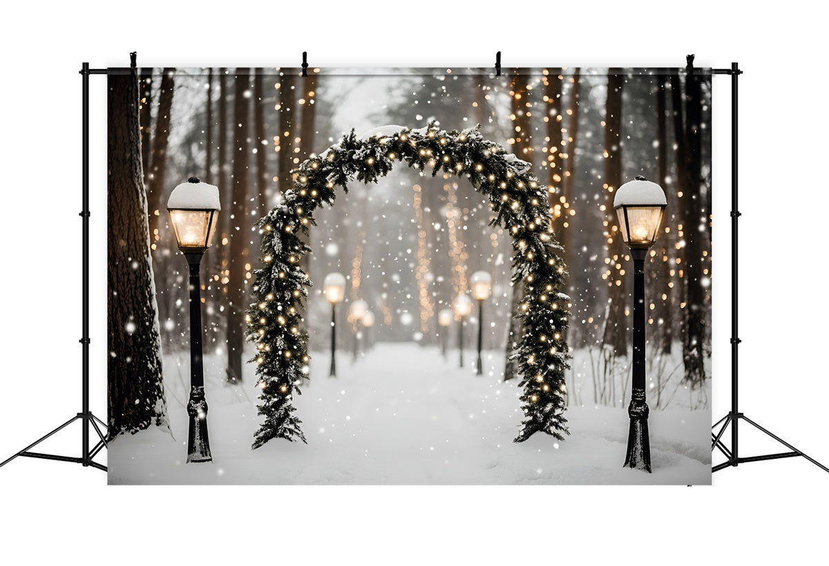 Winter Forest Backdrop Magische Laterne Snow Path Backdrop GQ57-72