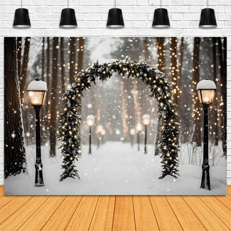 Winter Forest Backdrop Magische Laterne Snow Path Backdrop GQ57-72