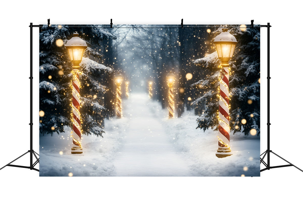 Schnee Wald Backdrop Holiday Magic Forest Backdrop GQ57-73