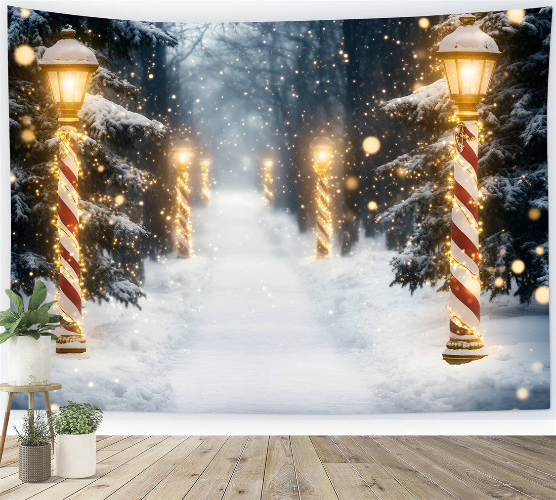 Schnee Wald Backdrop Holiday Magic Forest Backdrop GQ57-73