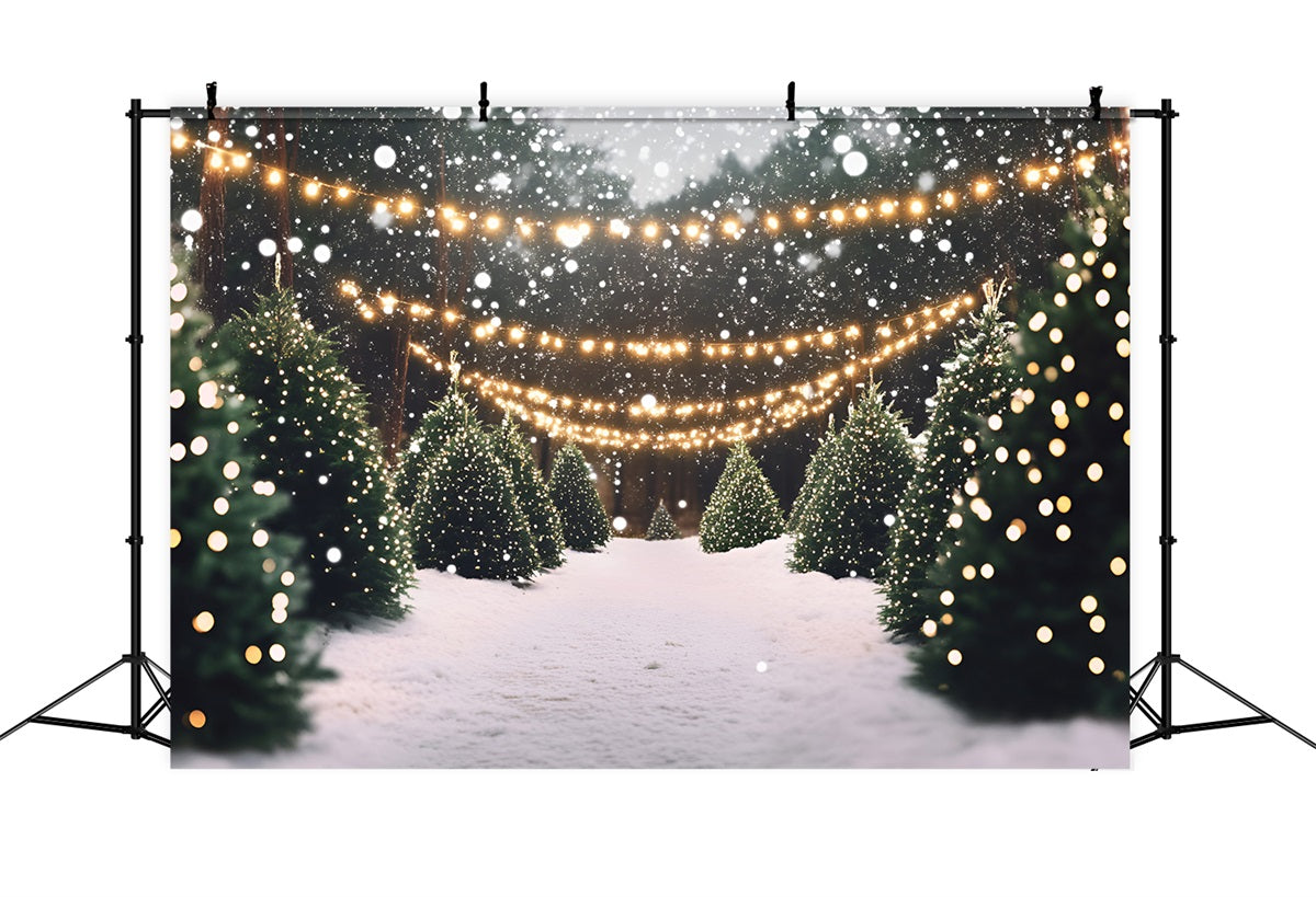Weihnachtsbaum Bauernhof Fotohintergrund verschneite Pine Lane mit Twinkle Lights Professionelle Weihnachten Studiohintergrund GQ58-48