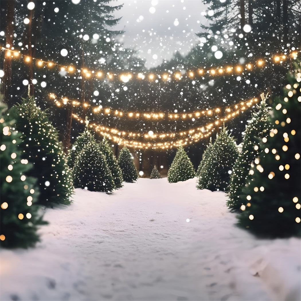 Weihnachtsbaum Bauernhof Fotohintergrund verschneite Pine Lane mit Twinkle Lights Professionelle Weihnachten Studiohintergrund GQ58-48