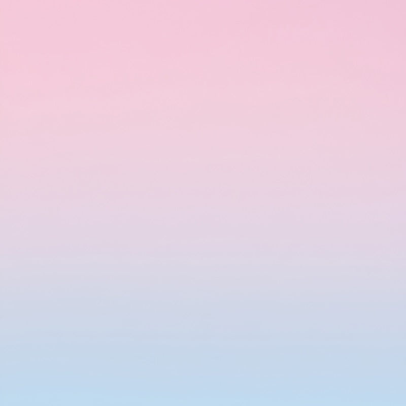 Gradient Backdrop Blush Pink zu Baby Blue Ombre Fotohintergrund für Porträt GQ58-62