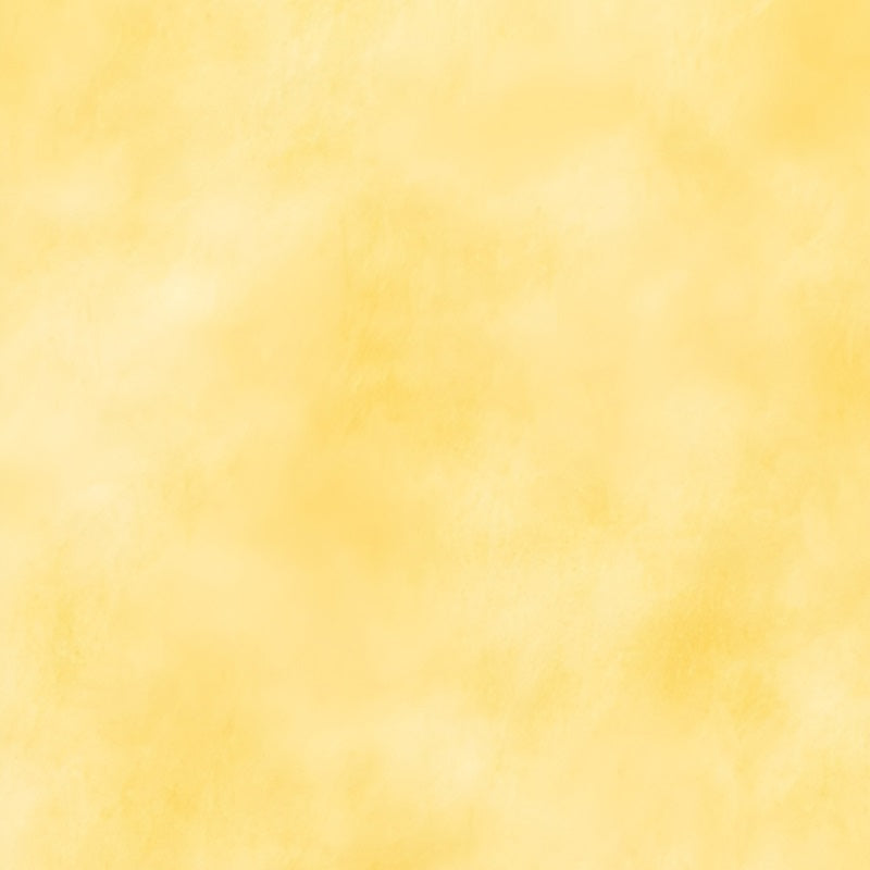 Yellow Backdrop Soft Warm Yellow Gradient Texture Fotografie Porträt Fotohintergrund GQ58-73