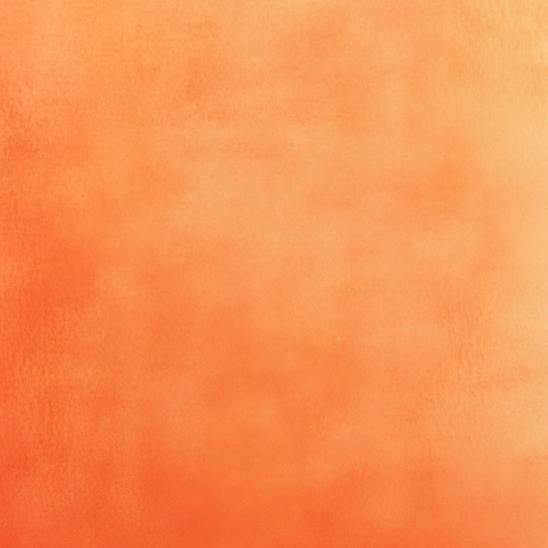 Orange Backdrop Warm Sunset Gradient Texture Backdrop Fotohintergrund für Porträts GQ58-80