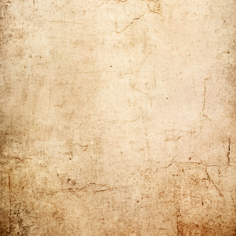 Grunge Backdrop Aged Beige Distressed Wall Texture Studiohintergründe für Porträts GQ58-89