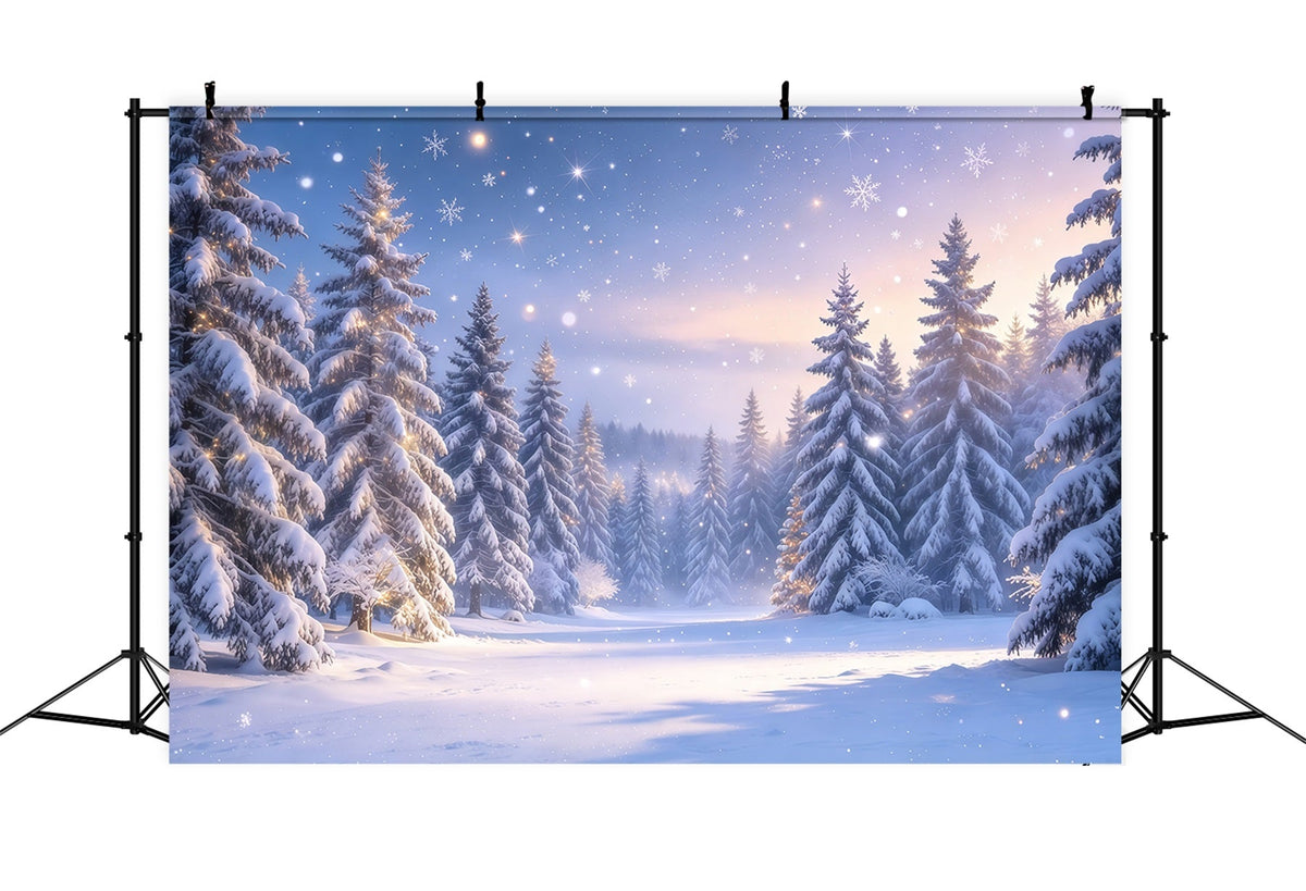 Weihnachtsbaum Hintergrund Dämmerung Verschneiter Kiefernwald GQ610-42