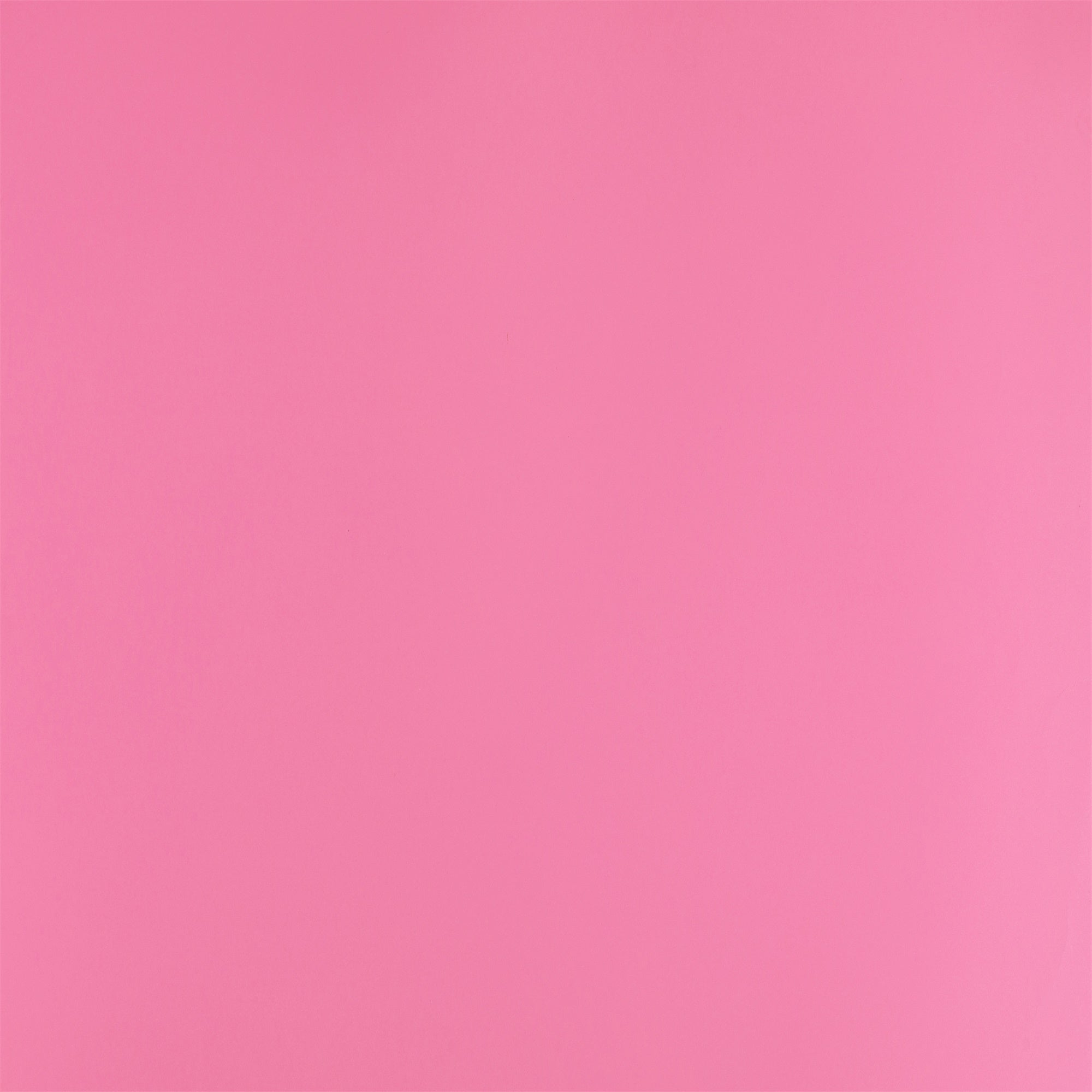 Rosa Fotohintergrund Baby Rosa Zart Hintergrund GTY2-160