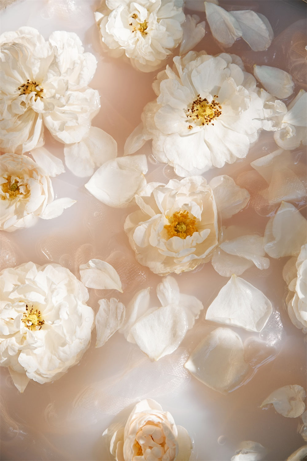 Hintergrundbilder für Mutterschaftsfotos Weiche Eleganz Schwebende Blütenblätter Hintergrundbild GTY2-41