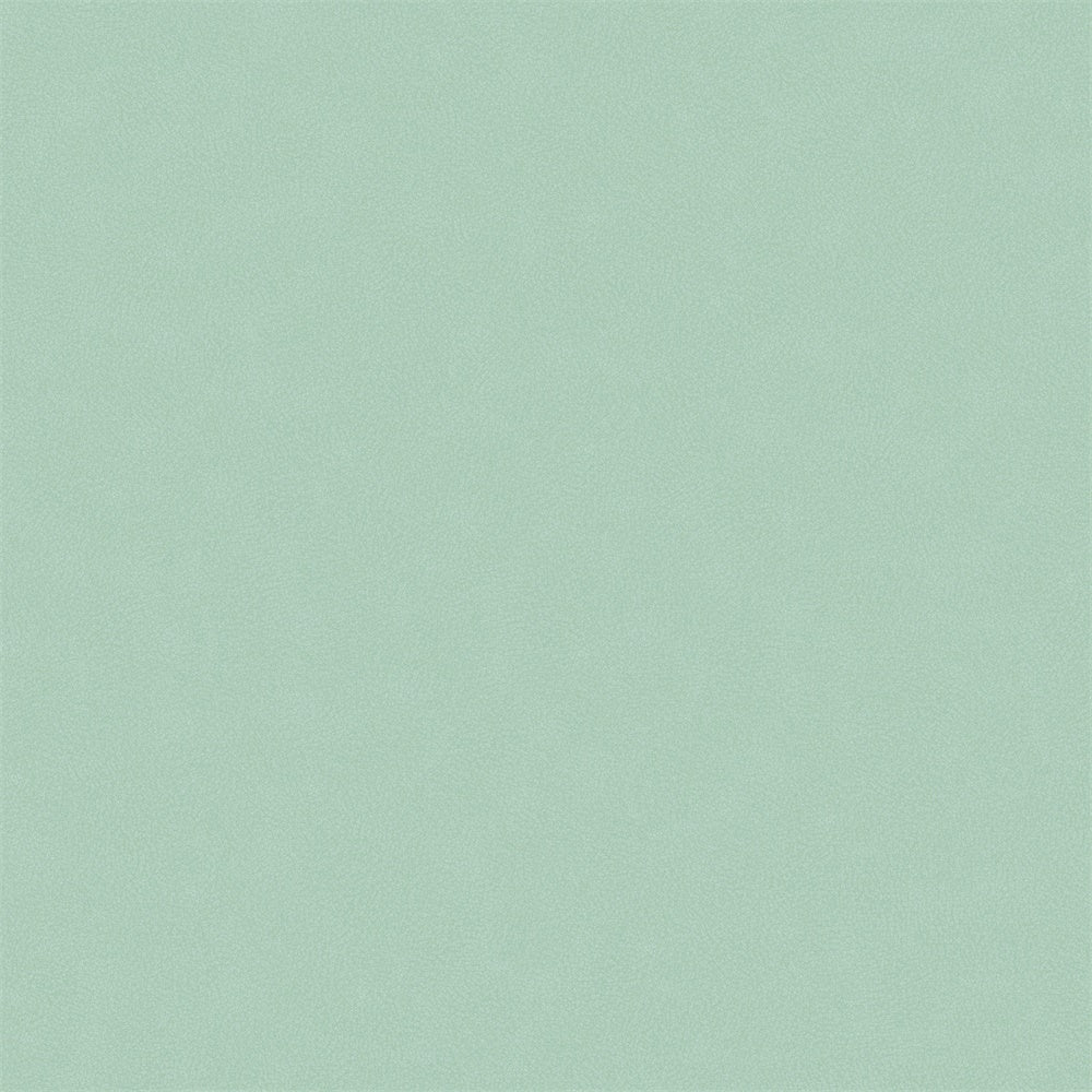 Backdrop Hellgrün Soft Mint Pastell Textur Backdrop GTY3-105