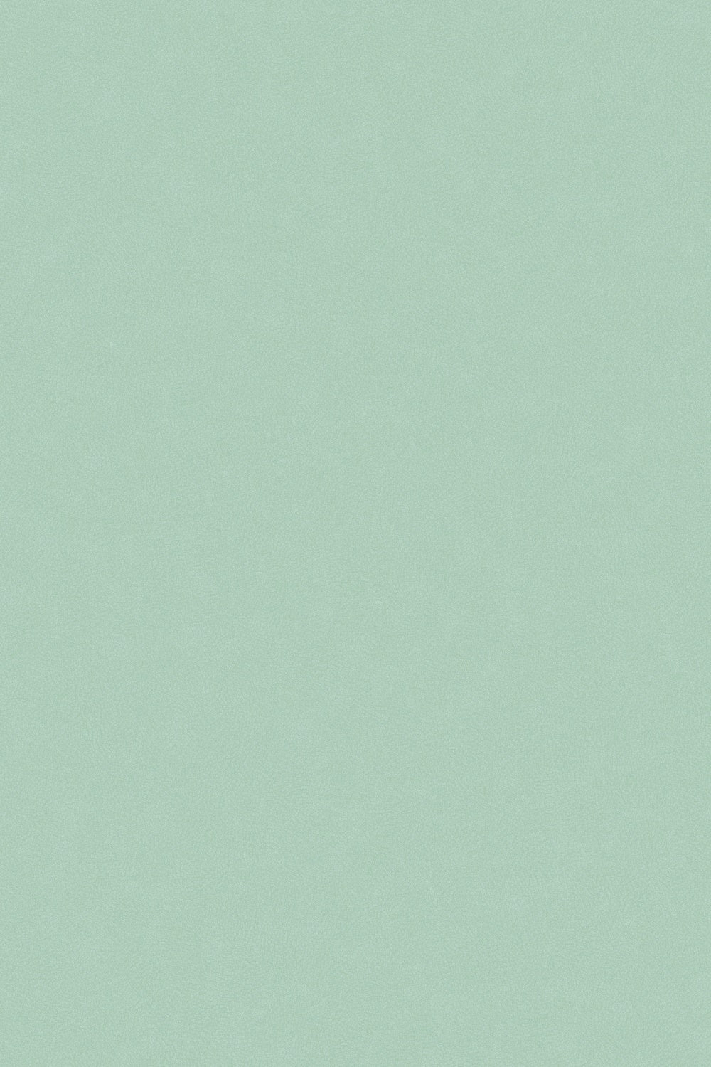 Backdrop Hellgrün Soft Mint Pastell Textur Backdrop GTY3-105