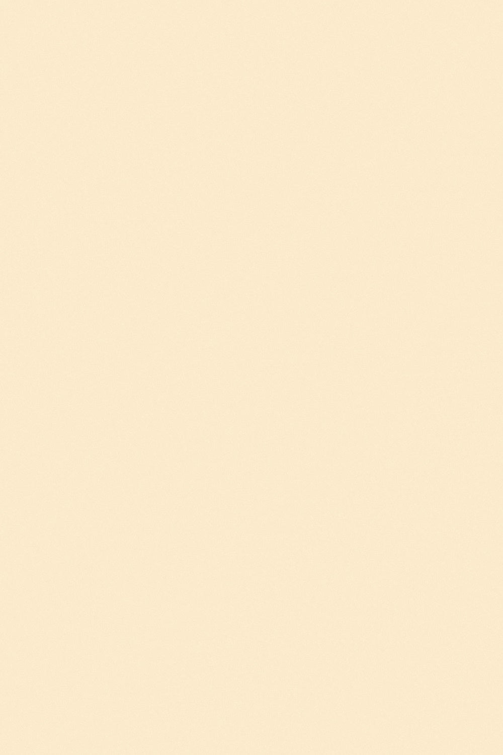 Schul-Fotohintergrund Beige Creme Studio-Hintergrund GTY3-332