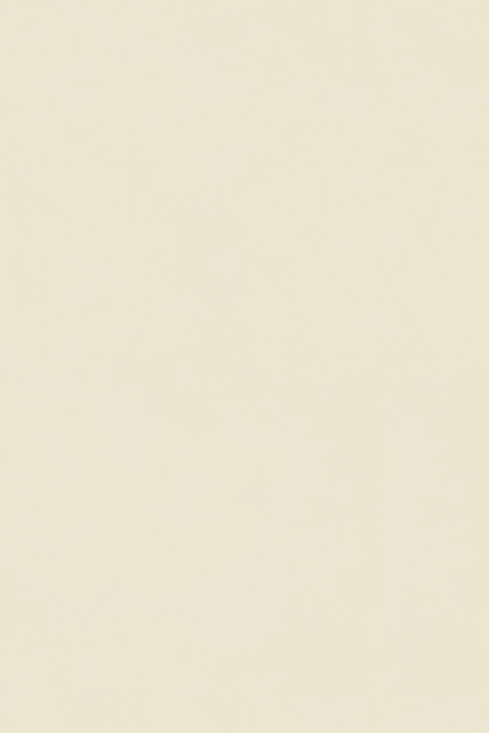 Professioneller Abschluss-Fotohintergrund Buttercreme-Hintergrund GTY3-354