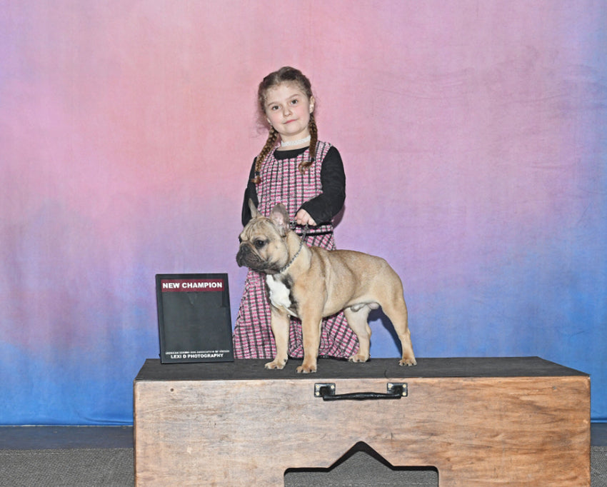 Abstrakte Textur Fotostudio Hintergrund HF-0021