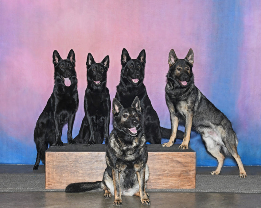 Abstrakte Textur Fotostudio Hintergrund HF-0021