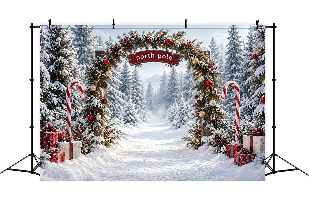 Nordpol-Fotohintergrund Zuckerstangenwald-Eingang HQ610-182