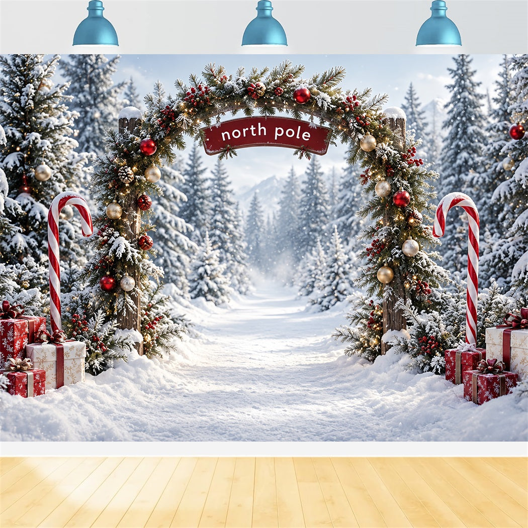 Nordpol-Fotohintergrund Zuckerstangenwald-Eingang HQ610-182