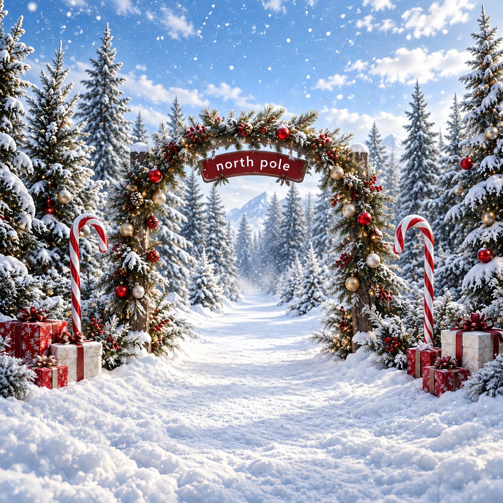 Nordpol-Fotohintergrund Zuckerstangenwald-Eingang HQ610-182