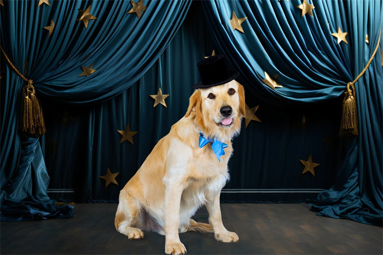 Haustier-Fotohintergrund Golden Star Blue Drapes Backdrop LXX1-277