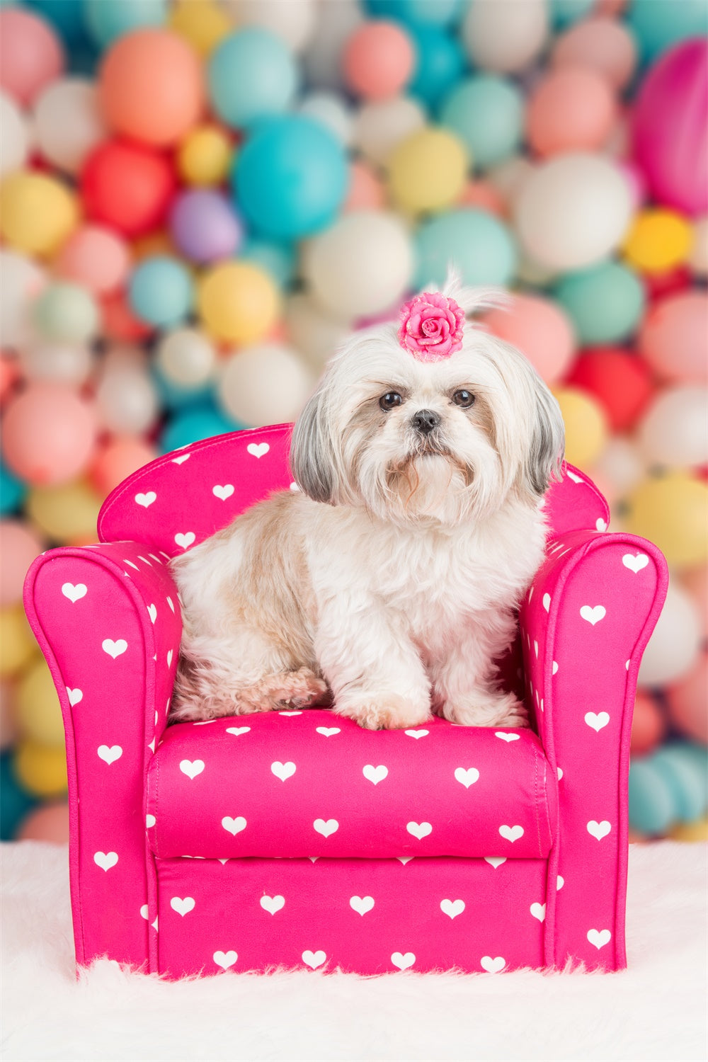 Backdrop Pet Pastell Party Ballon Cluster Backdrop LXX1-293