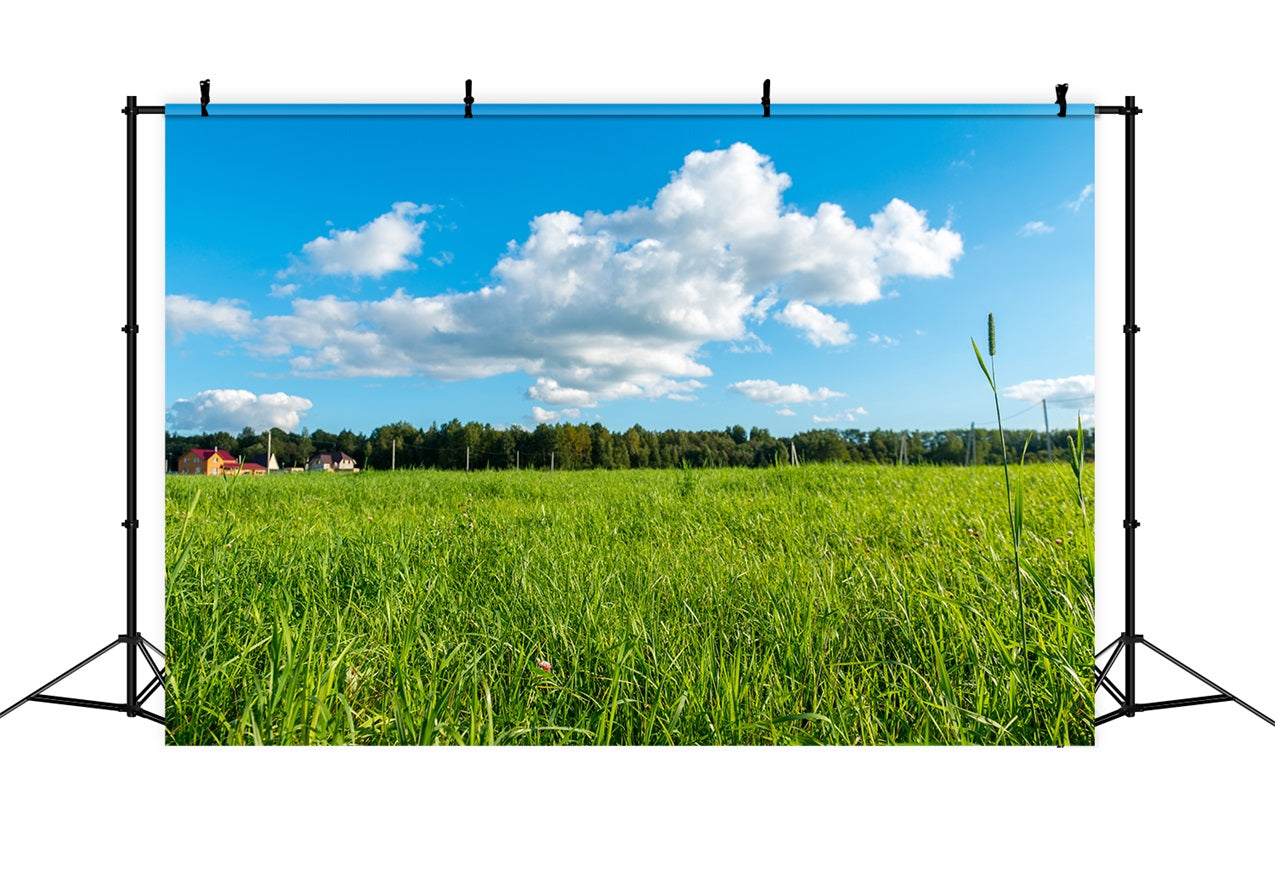 Sky Backdrop Fotografie Grüne Wiese Blauer Hintergrund LXX1-301