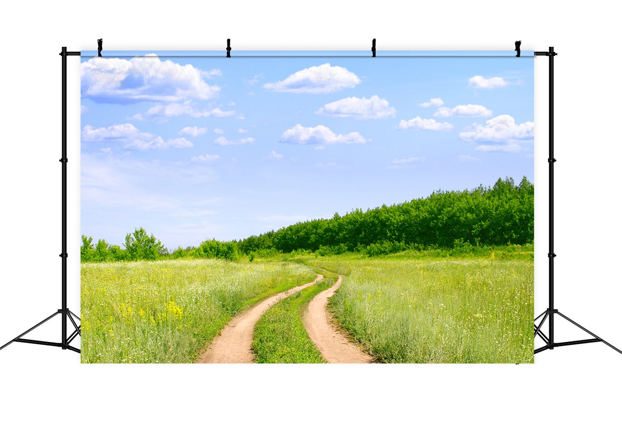 Blauer Himmel Backdrop Landweg Wiese Backdrop LXX1-302
