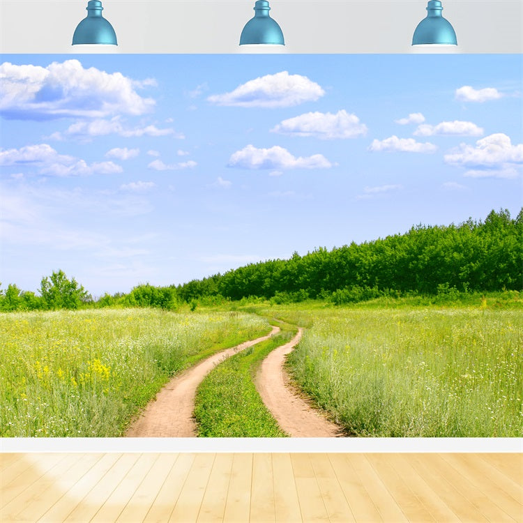 Blauer Himmel Backdrop Landweg Wiese Backdrop LXX1-302